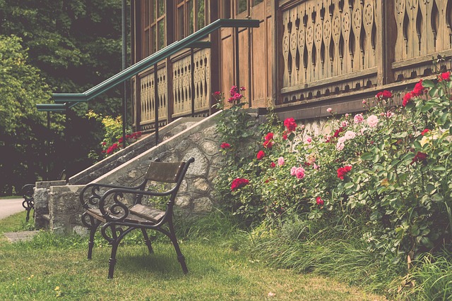 激烈的国际 激烈的国际