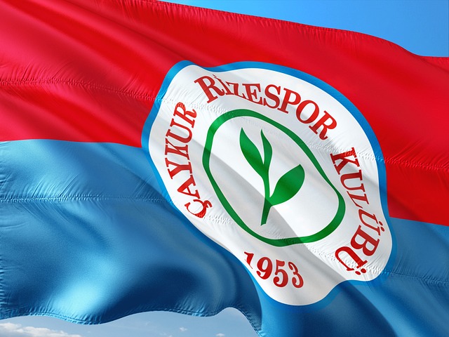 战术多样化 战术多样化