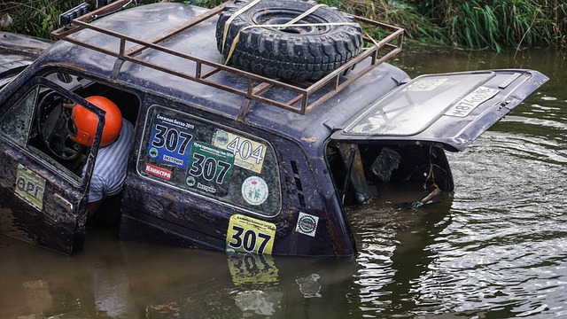 也许正是爵 也许正是爵