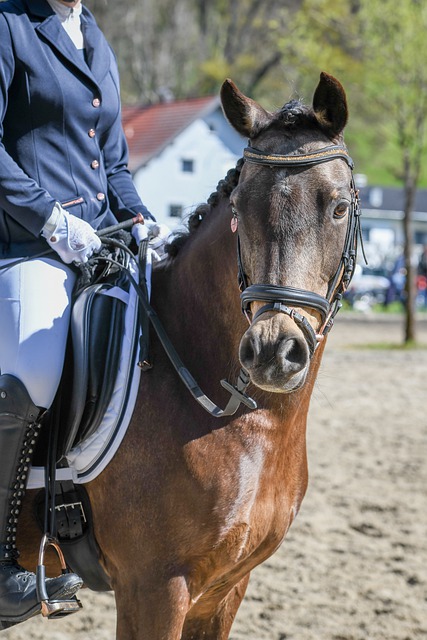 下调兵遣将 下调兵遣将