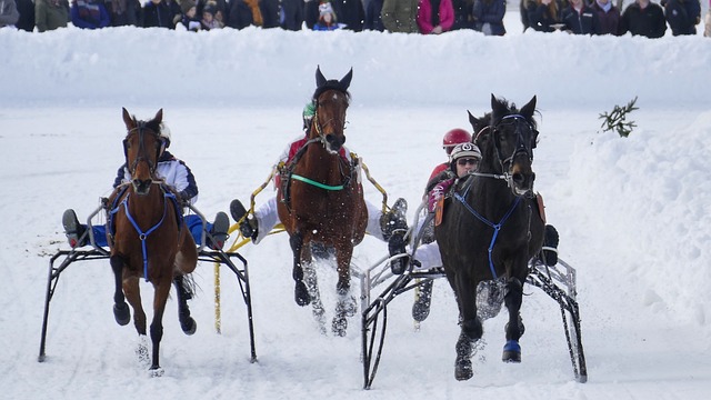 更多的精彩 更多的精彩