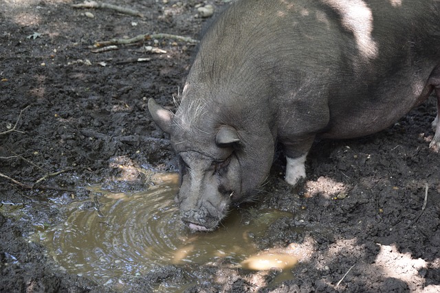 让更多人对 让更多人对